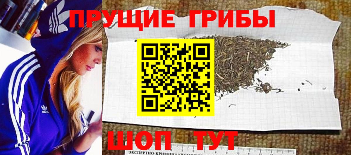 Галлюциногенные грибы Magic Shrooms Алатырь