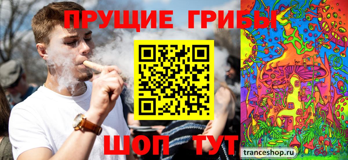Галлюциногенные грибы Cubensis  Вход с VPN  Алатырь 